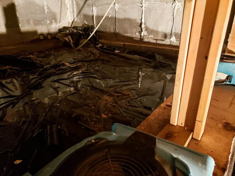 Basement Water Cleanup in Gilbert, AZ