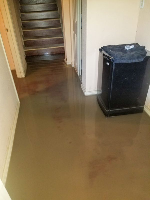 Basement Water Extraction in Scottsdale, AZ