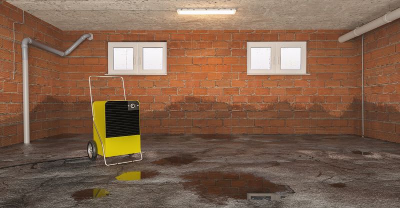 Basement Water Removal in Scottsdale, AZ
