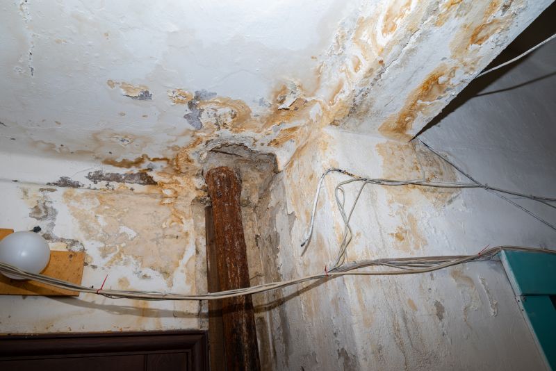 Storm Damage Cleanup in Mesa, AZ
