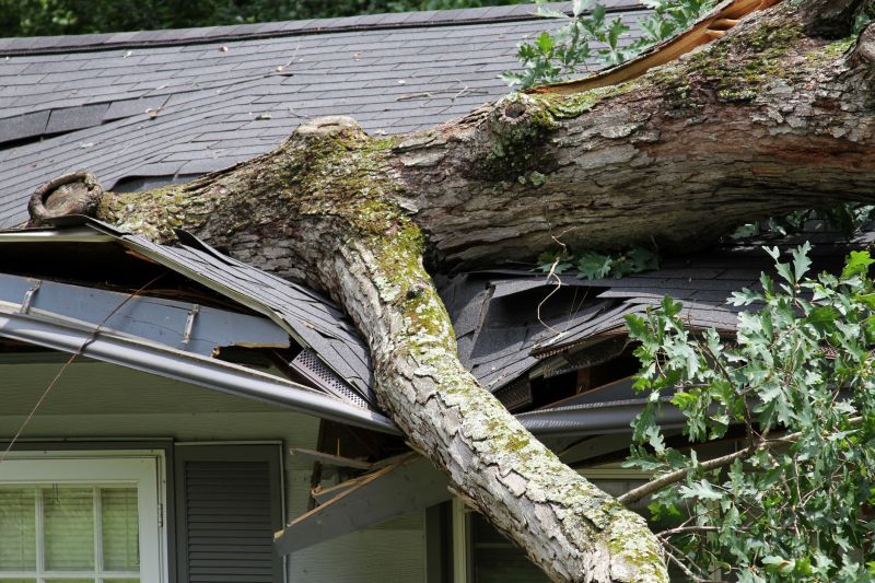Storm Damage Mitigation in Mesa, AZ