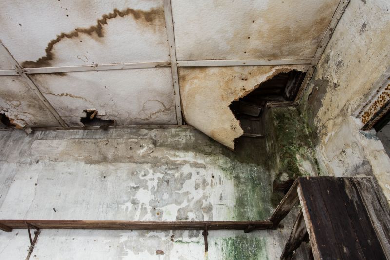 Water Damage Cleanup in Mesa, AZ