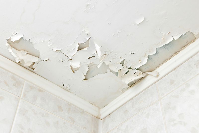 Water Damage Repair in Mesa, AZ