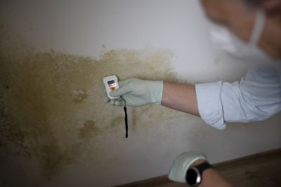 Water in the Basement Can Lead to Mold and Mildew!