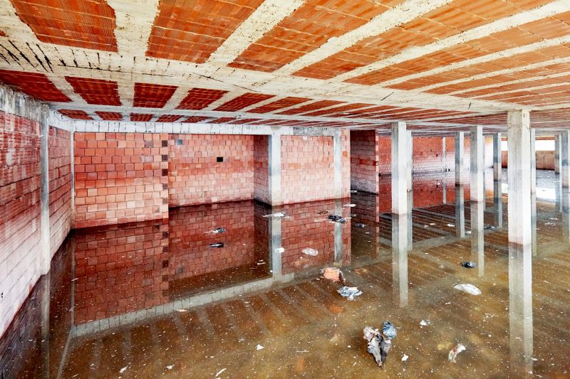 Crawl Space Water Remediation in Phoenix, AZ